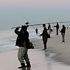 Meet your Posher, Benny